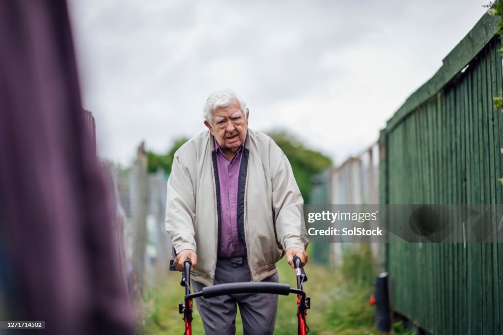 On My Way To The Allotment