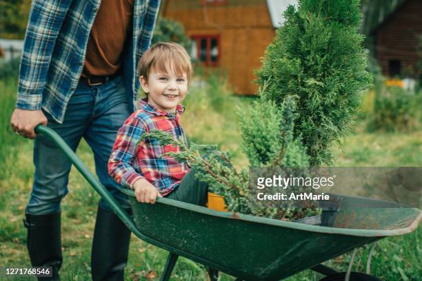 family planting tree at back yard - american arborvitae stock pictures, royalty-free photos & images