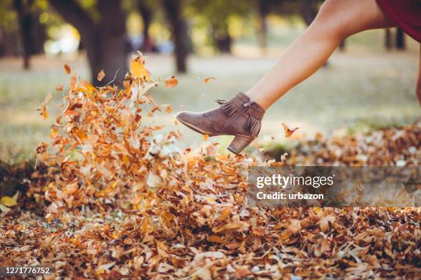 patear un montón de hojas secas - woman boots fotografías e imágenes de stock