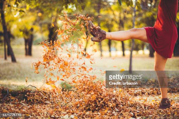 kicking heap of dry leaves - boot kicking stock pictures, royalty-free photos & images