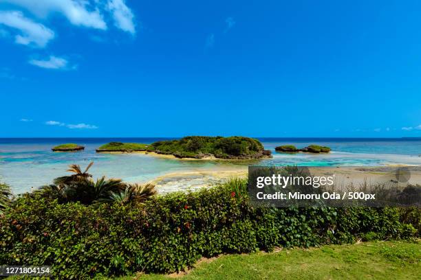scenic view of sea against blue sky, ishigaki, japan - okinawa blue sky beach landscape stockfoto's en -beelden