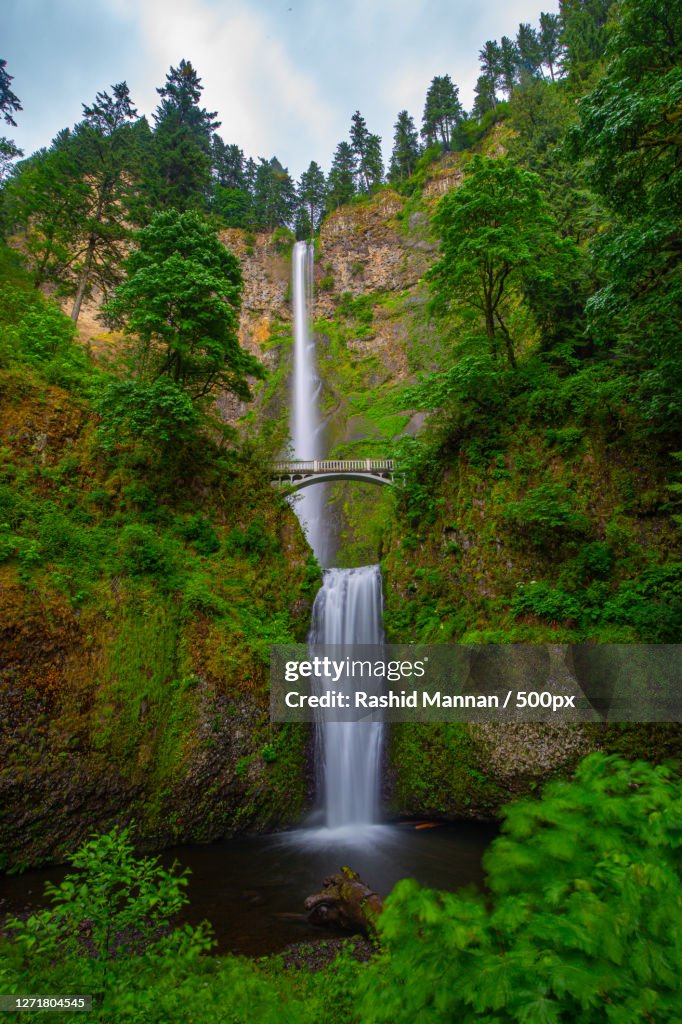 Scenic View Of Waterfall In Forest Against Sky