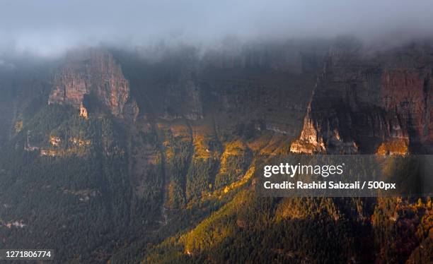 scenic view of forest against sky during foggy weather, toledo, spain - toledo province stock pictures, royalty-free photos & images