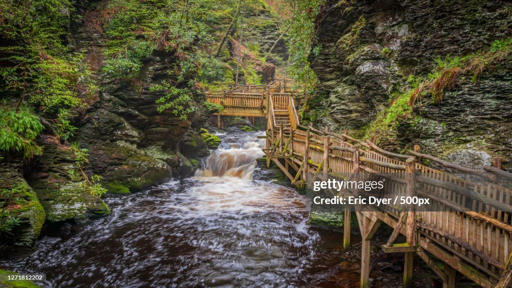 Scenic View Of Waterfall In Forest, Lancaster, United States