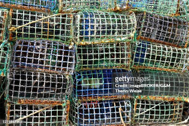 basket fish traps for crab and lobster fishing in the atlantic ocean, alvor fishing harbour, portimao municipality, algarve, portugal - algarve crab stock pictures, royalty-free photos & images