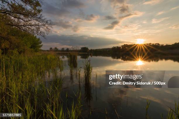 137 Fastiv Stock Photos, High-Res Pictures, and Images - Getty Images