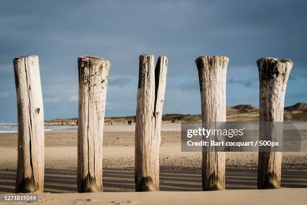 view of wooden posts in sea against sky, sluis, netherlands - stakes day stockfoto's en -beelden