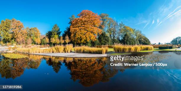 scenic view of lake by trees against blue sky, brussels, belgium - laken brussel stockfoto's en -beelden