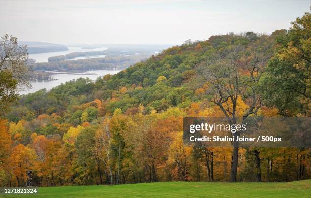 scenic view of trees on field against sky during autumn, galena, united states - illinois foto e immagini stock