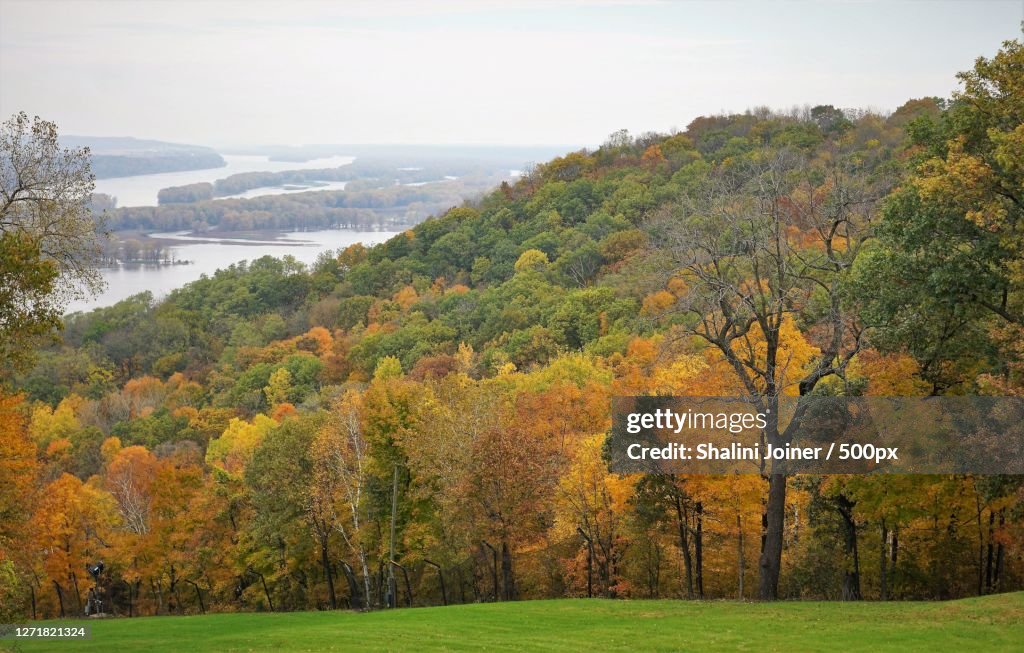 Scenic View Of Trees On Field Against Sky During Autumn, Galena, United States