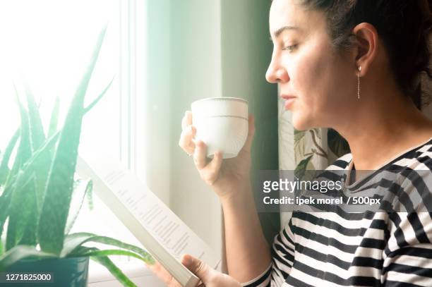 woman reading book near window, odunpazar, turkey - ipek morel stock pictures, royalty-free photos & images