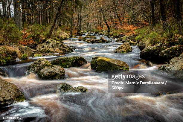 scenic view of waterfall in forest, theux, belgium - lange sluitertijd stock pictures, royalty-free photos & images