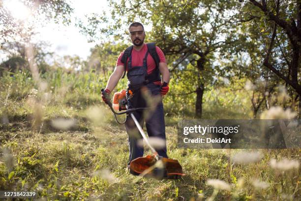 young farmer mowing grass with agricultural machinery - hedge clippers stock pictures, royalty-free photos & images