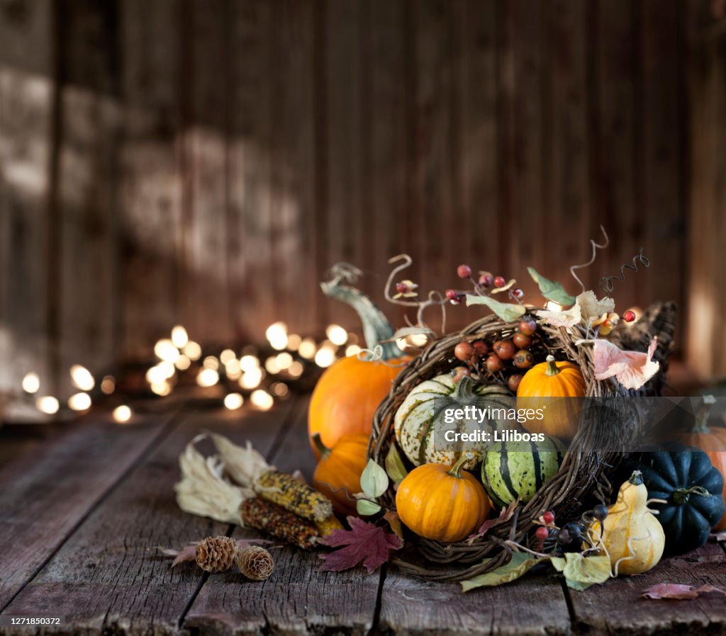 Autumn Thanksgiving Cornucopia on a Wood Background
