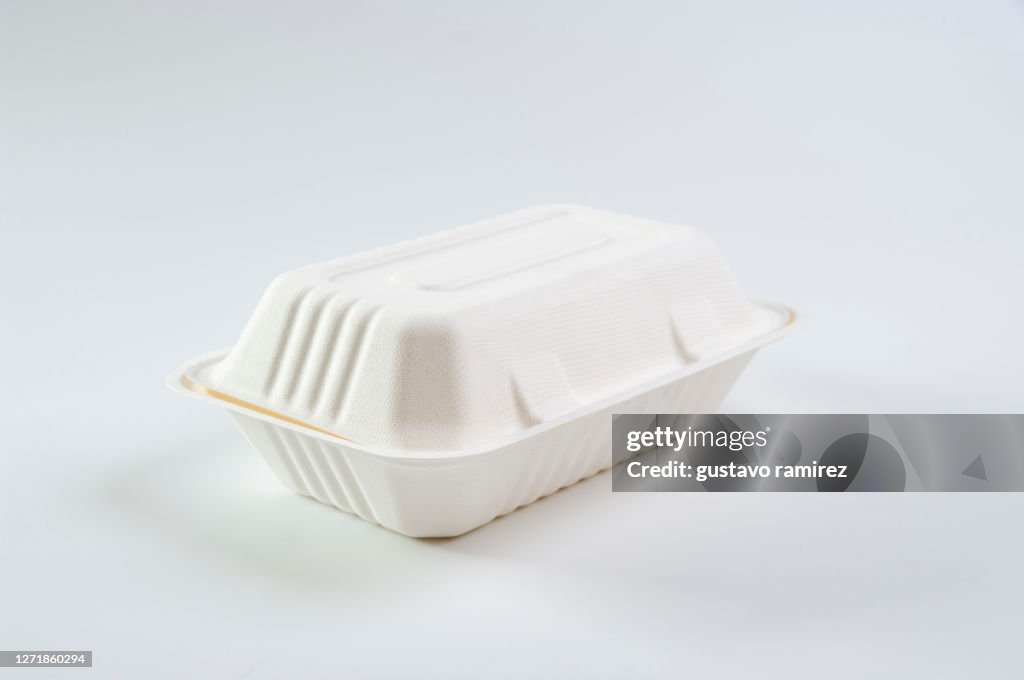 Disposable food container