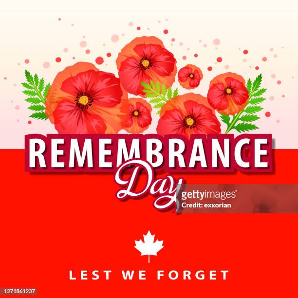 remembrance day in canada - remembrance day icon stock illustrations