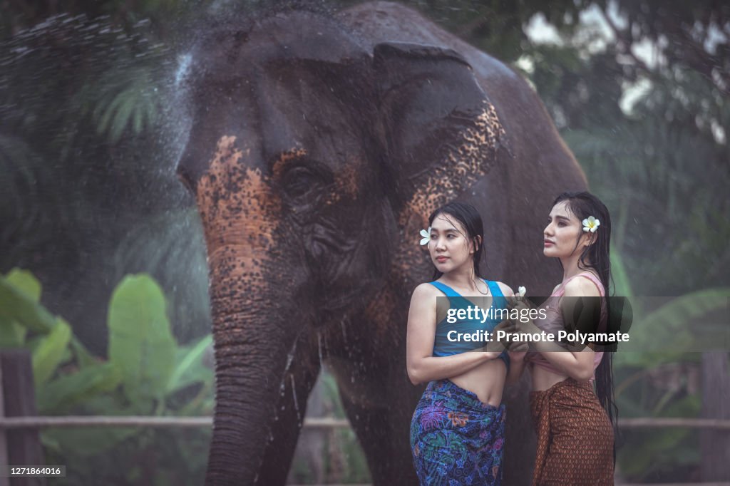 Portrait of Asian beautiful woman new generation water injection with elephants in Thai traditional costume