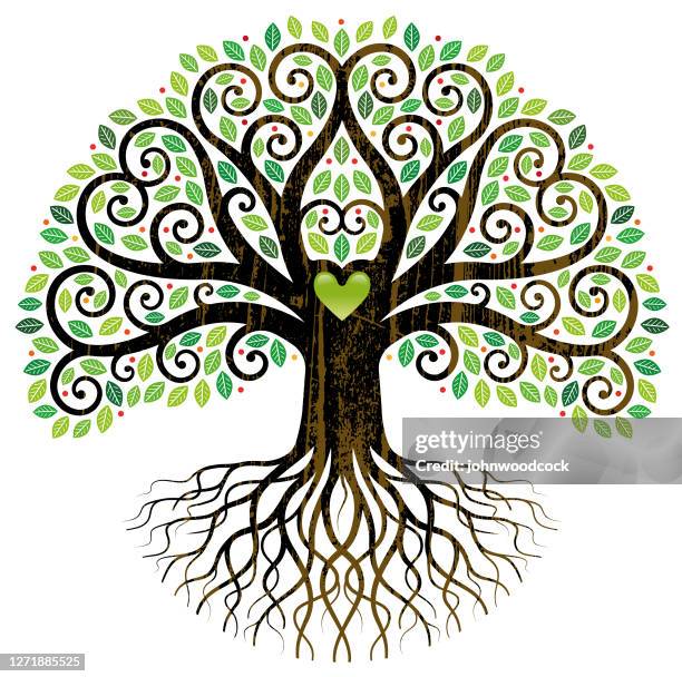 Tree Trunk Roots Photos and Premium High Res Pictures - Getty Images