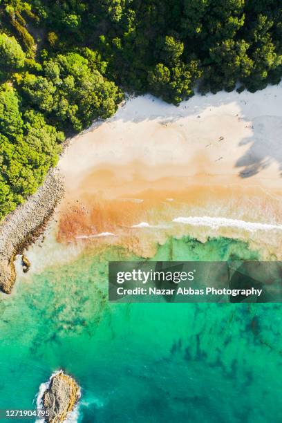 new chum beach, coromandel peninsula. - halbinsel coromandel peninsula stock-fotos und bilder