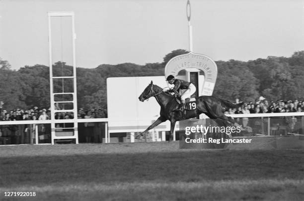 French racehorse Sea Bird wins the Prix de l'Arc de Triomphe at Longchamp Racecourse in Paris, France, with jockey Pat Glennon up, October 1965.