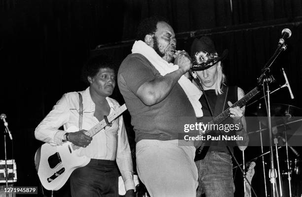 From left, American Blues musicians Albert Collins , James Cotton 1935 - 2017), and Johnny Winter perform onstage at Park West, Chicago, Illinois,...