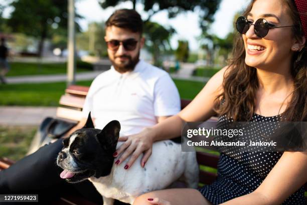 a young couple on a park bench with a cute dog - french bulldog stock pictures, royalty-free photos & images