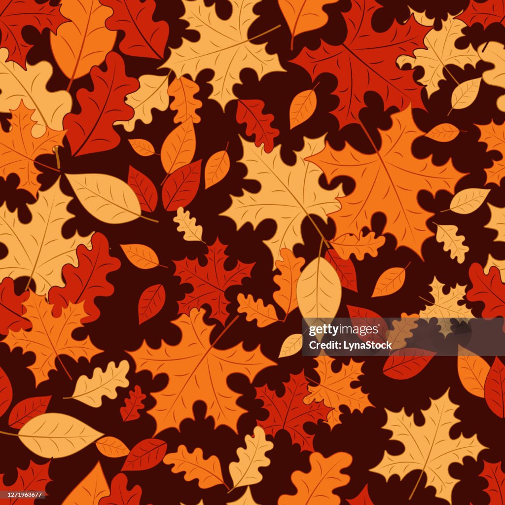 Seamless vector pattern with maple and oak leaves. Autumn natural forest design