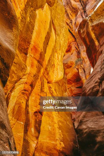 landscape detail of slot canyons in kanarra falls, utah. - bernstein stock-fotos und bilder