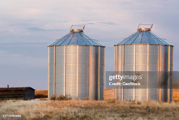 shiny new granaries - getreidespeicher stock-fotos und bilder