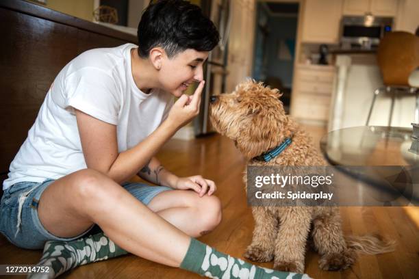 woman training her puppy - animal tricks stock pictures, royalty-free photos & images