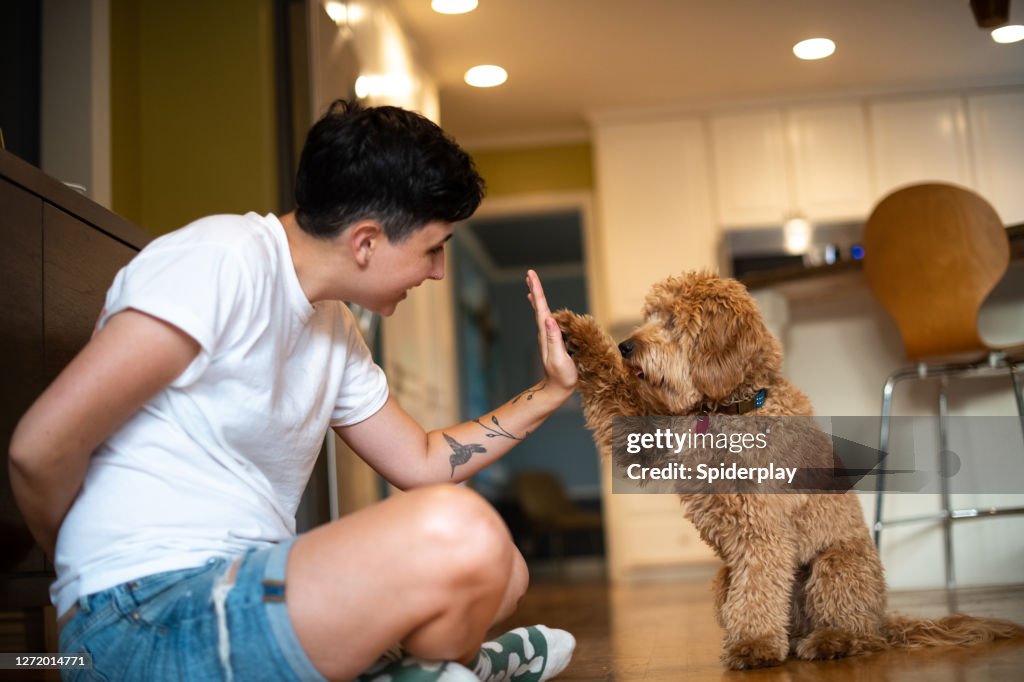Mujer entrenando a su cachorro para dar cinco altos