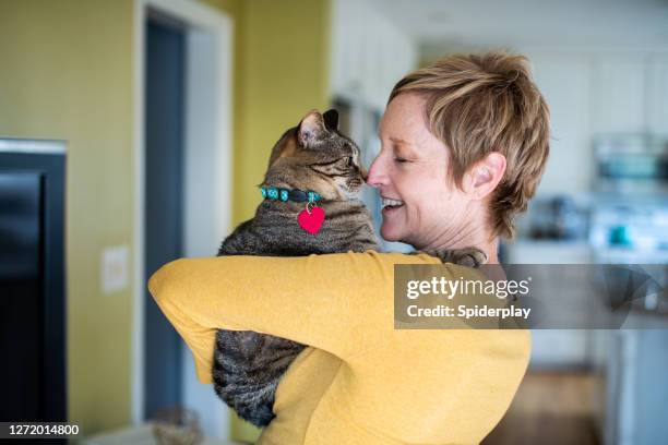 woman holding her cat - striped cat stock pictures, royalty-free photos & images