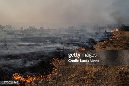 Fire in Brazilian Savannah (cerrado) Fire in Brazilian Savannah (cerrado)
