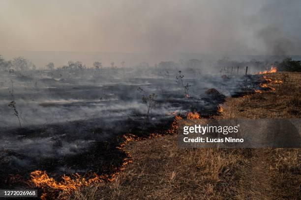 fire in brazilian savannah (cerrado) - extreme weather stock pictures, royalty-free photos & images