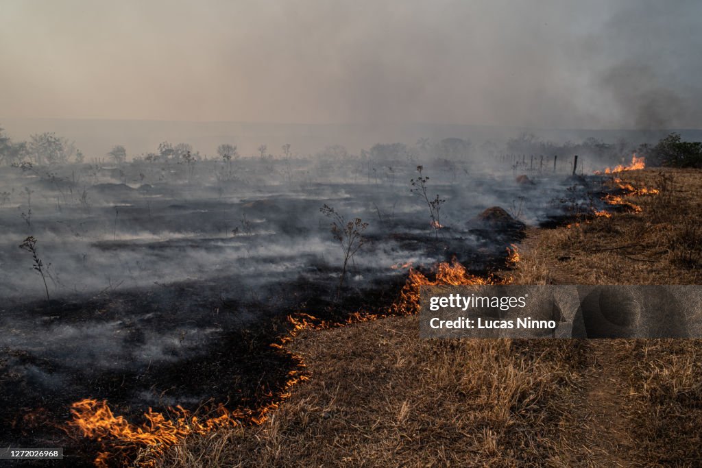 Fire in Brazilian Savannah (cerrado)