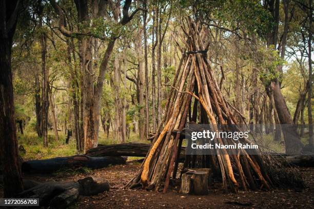 a teepee made from branches, sits in the australian bush - naomi woods stock-fotos und bilder