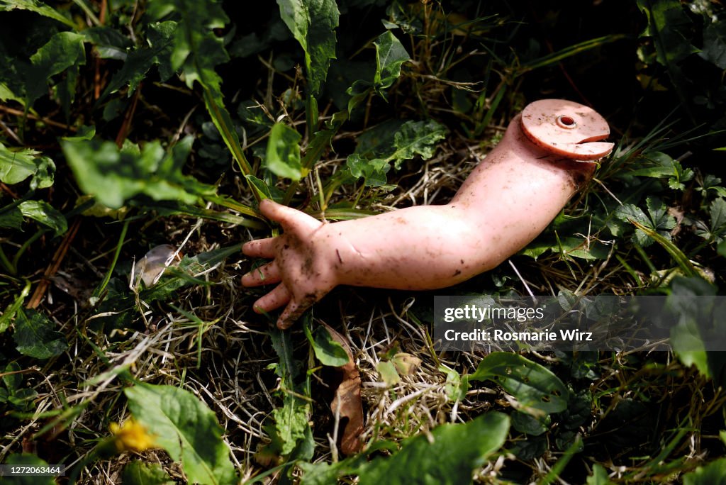 Detached doll's arm