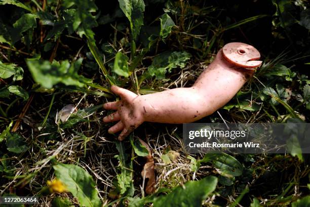 detached doll's arm - moord stockfoto's en -beelden