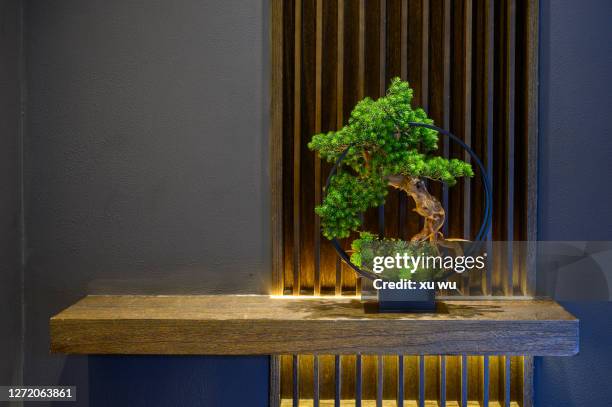 Modern Bonsai Photos and Premium High Res Pictures - Getty Images