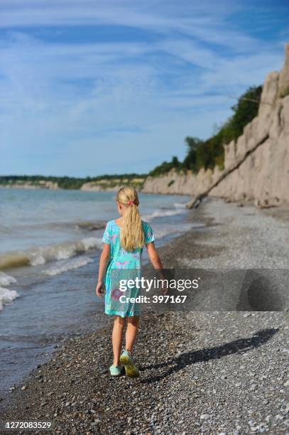sunny days at the beach - lake erie stock pictures, royalty-free photos & images