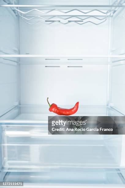 a red pepper inside a cold and empty fridge - frozen apple bildbanksfoton och bilder
