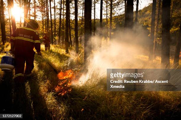 fire fighters fight a forest fire - fighting forest fire stock pictures, royalty-free photos & images