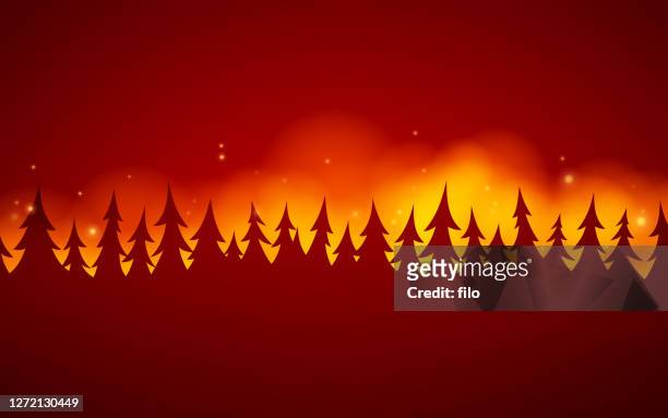 484 Ilustraciones de Incendio Forestal - Getty Images