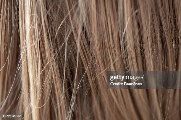 full frame shot of blond hair - extreme close up hair stock pictures, royalty-free photos & images