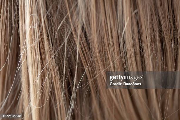 full frame shot of blond hair - hair texture stock pictures, royalty-free photos & images