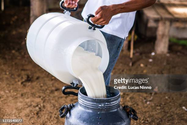 production of cow's milk - gallon stockfoto's en -beelden