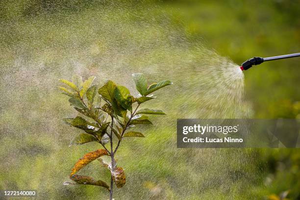 pesticide application - spray - in plant - crop sprayer imagens e fotografias de stock