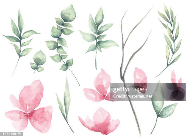 ilustraciones, imágenes clip art, dibujos animados e iconos de stock de conjunto de acuarela flor y hojas verdes - acuarela