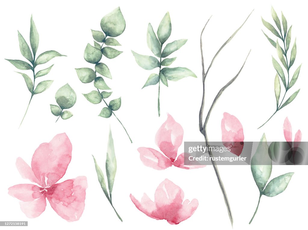Set of watercolor Flower and green leaves