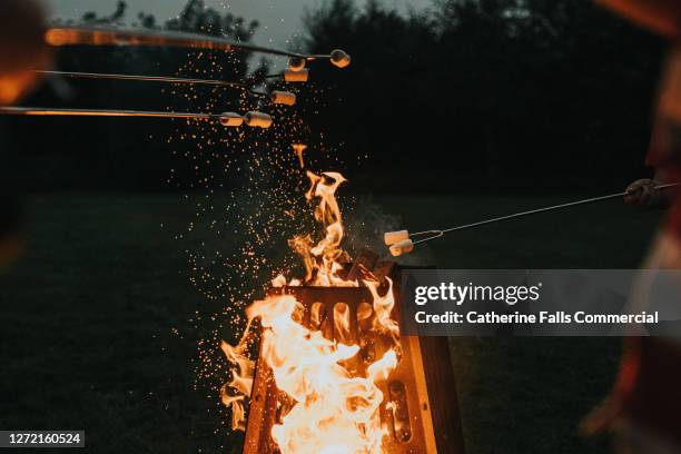 toasting marshmallows over a fire pit at dusk - fun experience stock-fotos und bilder